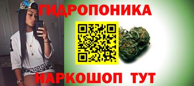 трава Кунгур