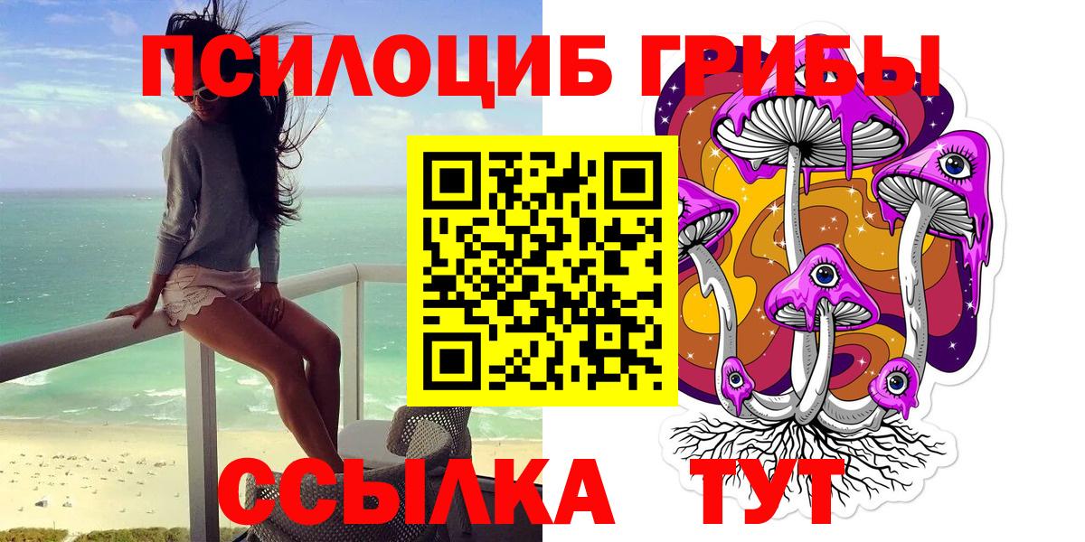 Псилоцибиновые грибы MAGIC MUSHROOMS Калининград