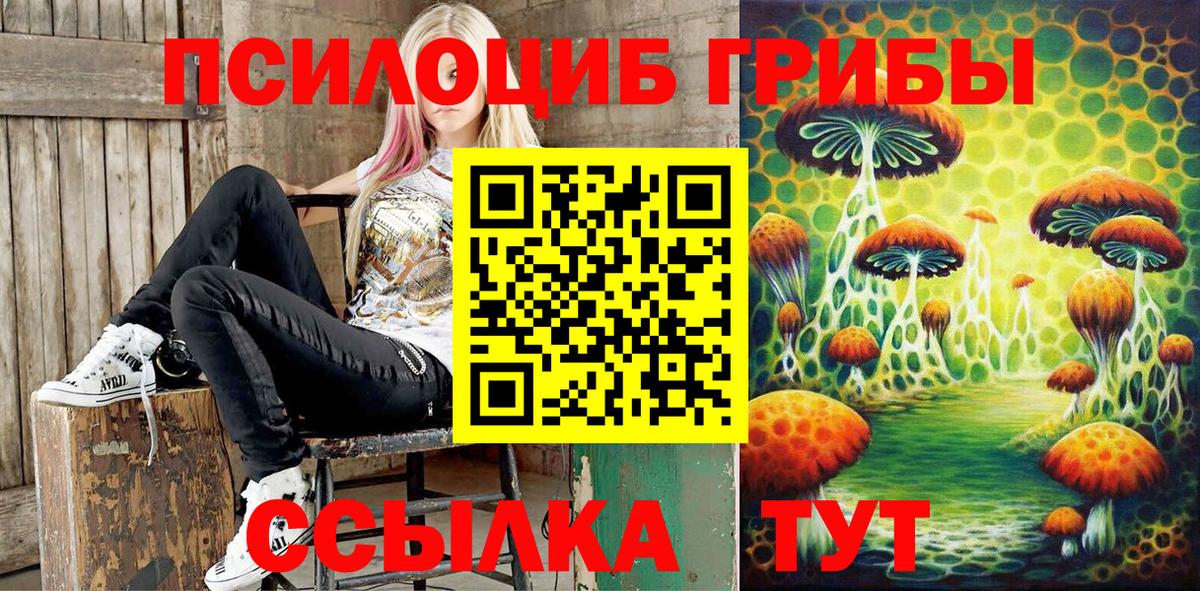 Калининград  Галлюциногенные грибы прущие грибы  Вход с VPN 